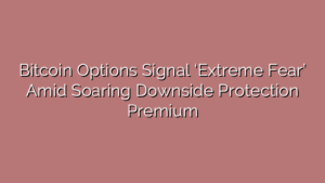 Bitcoin Options Signal ‘Extreme Fear’ Amid Soaring Downside Protection Premium
