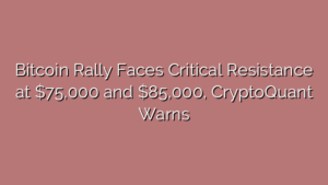 Bitcoin Rally Faces Critical Resistance at $75,000 and $85,000, CryptoQuant Warns